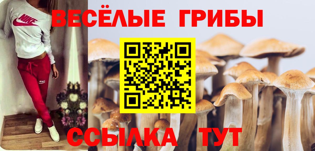 Галлюциногенные грибы GOLDEN TEACHER Изобильный