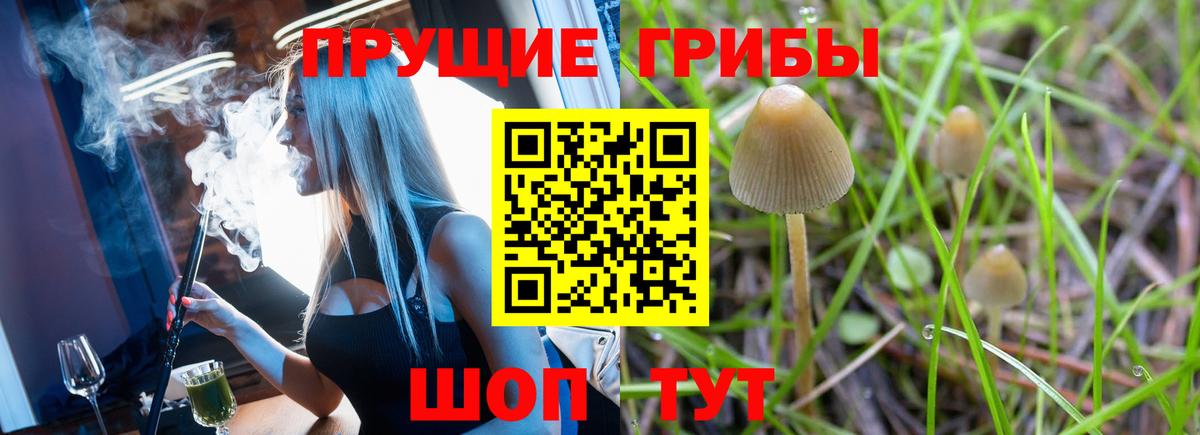 Псилоцибиновые грибы мухоморы  Вход с VPN  Изобильный  Галлюциногенные грибы прущие грибы 