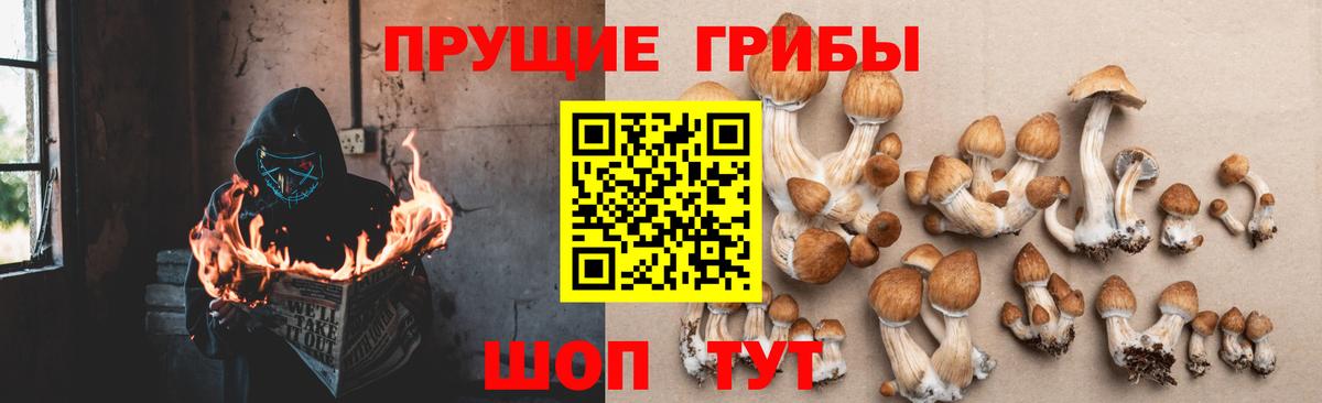 Галлюциногенные грибы Изобильный